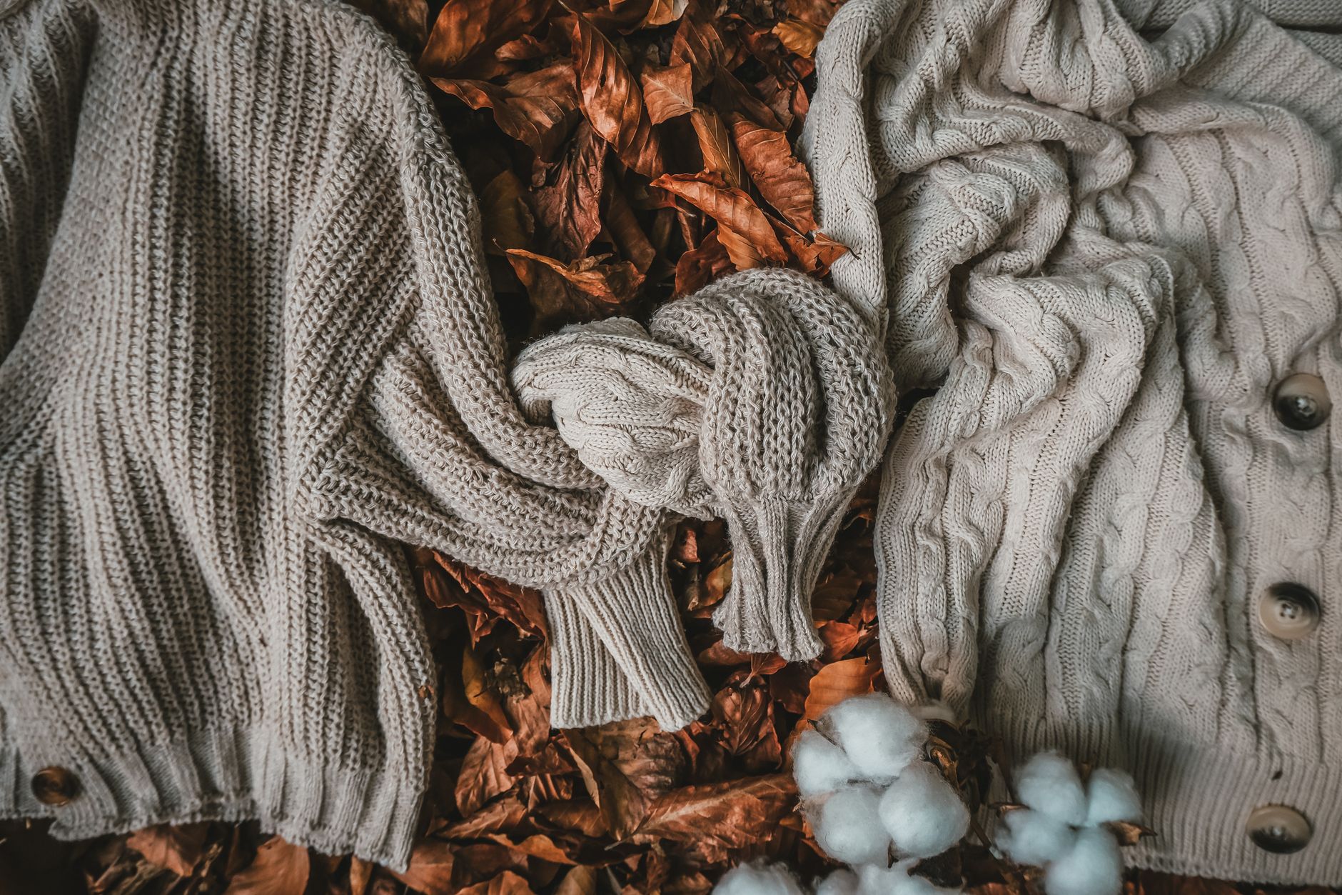 紅葉とニットのセーター